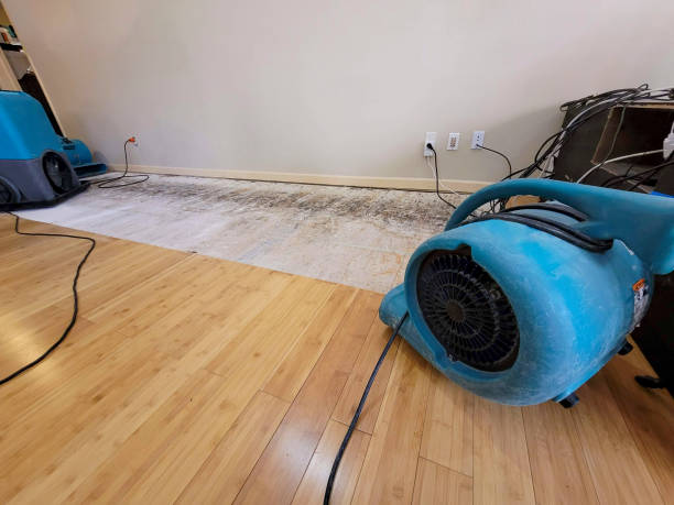 Professional Sewage Cleanup technician working in Green Bay, WI
